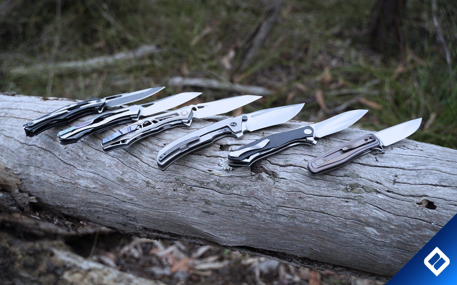 Knife 101: Types Of Knives and Blades